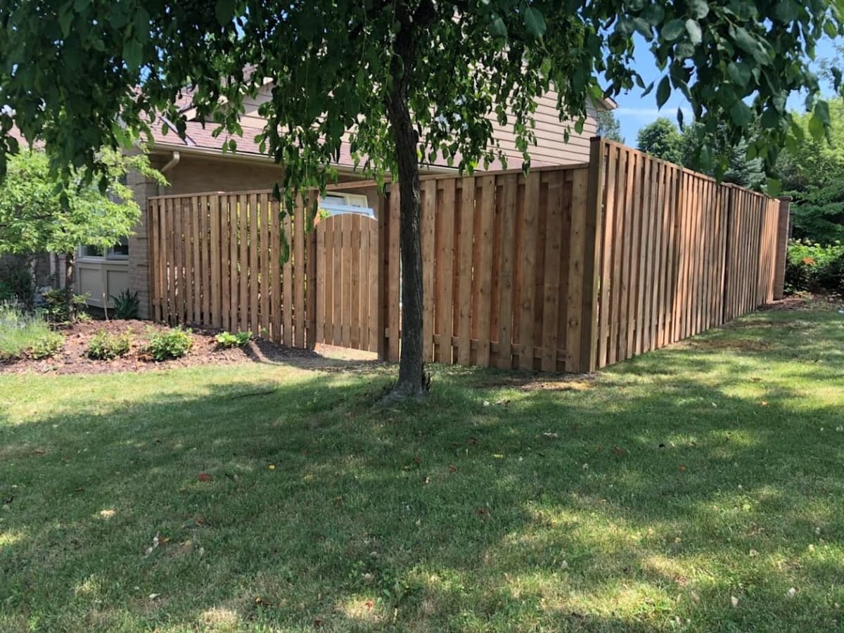Pressure treated wood fence installation in London, Ontario backyard